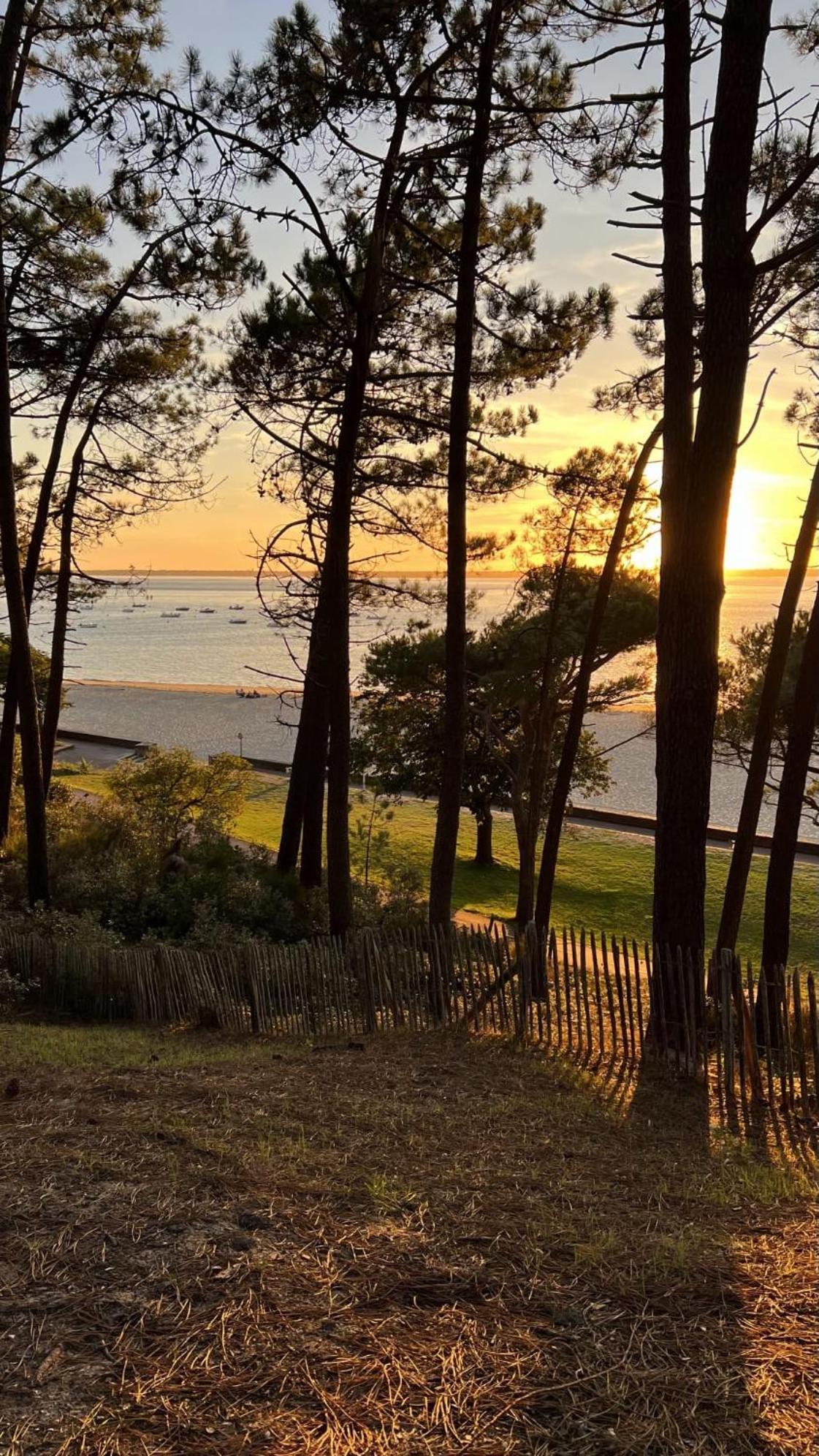 Hotel Particulier - Les Lodges Du Bassin D'Arcachon- Petit-Dejeuner Sur Demande- Prestations Haut De Gamme Гужан-Местрас Екстериор снимка