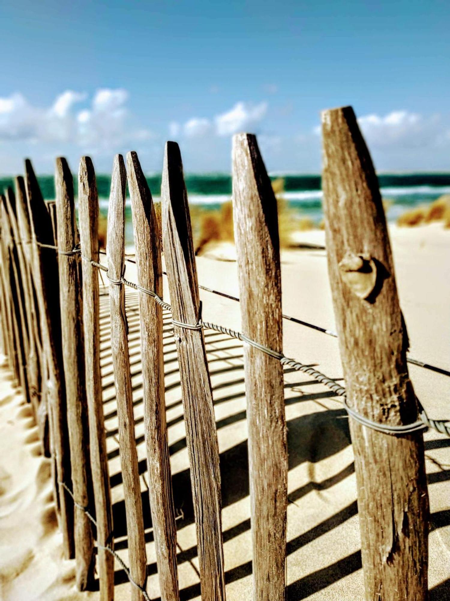 Hotel Particulier - Les Lodges Du Bassin D'Arcachon- Petit-Dejeuner Sur Demande- Prestations Haut De Gamme Гужан-Местрас Екстериор снимка