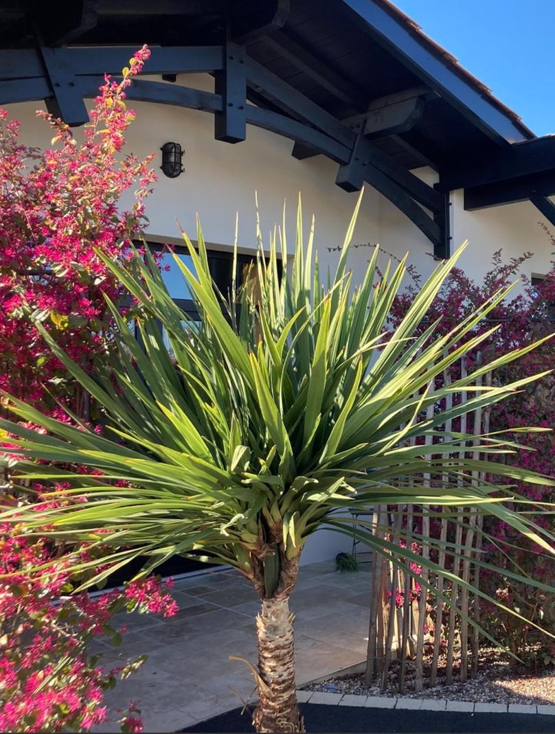 Hotel Particulier - Les Lodges Du Bassin D'Arcachon- Petit-Dejeuner Sur Demande- Prestations Haut De Gamme Гужан-Местрас Екстериор снимка